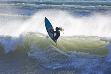 ../foto/ridottexsito/37_9_7-33-MA_Surf_02.jpg